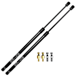 GS419 2x Rear Liftgate Lift Supports Shock Struts