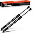 GS465C 2x Rear Liftgate Lift Supports Shock Struts