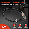 OS002N 4x Upstream & Downstream O2 Oxygen Sensor