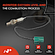 OS015 Upstream O2 Oxygen Sensor
