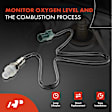 OS018C Downstream O2 Oxygen Sensor