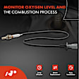 OS021 O2 Oxygen Sensor