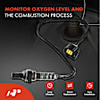OS022C Upstream Downstream O2 Oxygen Sensor