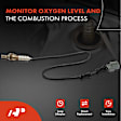 OS023 O2 Oxygen Sensor