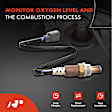 OS025C Upstream O2 Oxygen Sensor