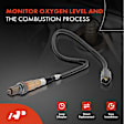 OS026C Upstream O2 Oxygen Sensor
