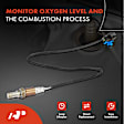 OS028 Downstream O2 Oxygen Sensor