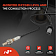 OS029C Upstream Downstream O2 Oxygen Sensor
