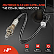 OS031 Upstream Downstream O2 Oxygen Sensor