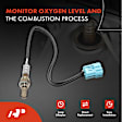 OS033 Upstream O2 Oxygen Sensor