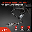 OS034 Upstream O2 Oxygen Sensor