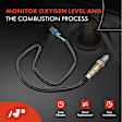 OS037C Downstream O2 Oxygen Sensor