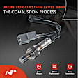 OS038 Upstream O2 Oxygen Sensor