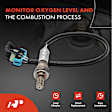 OS039C Upstream Downstream O2 Oxygen Sensor