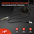OS041 Downstream O2 Oxygen Sensor