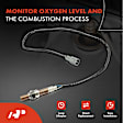 OS044C Upstream O2 Oxygen Sensor
