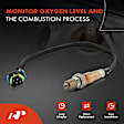 OS046C 4x Upstream & Downstream O2 Oxygen Sensor