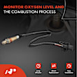 OS047C Upstream O2 Oxygen Sensor
