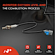 OS048 2x Upstream O2 Oxygen Sensor
