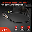 OS049 O2 Oxygen Sensor