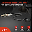 OS050 Downstream O2 Oxygen Sensor