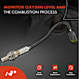 OS056 O2 Oxygen Sensor