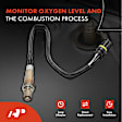 OS057 Upstream Downstream O2 Oxygen Sensor