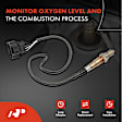 OS060C Upstream O2 Oxygen Sensor