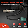 OS061 Downstream O2 Oxygen Sensor
