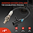 OS062C Upstream O2 Oxygen Sensor