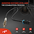 OS063 Upstream Downstream O2 Oxygen Sensor