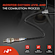 OS064C Upstream O2 Oxygen Sensor