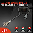 OS071C Upstream Downstream O2 Oxygen Sensor