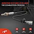OS072C Downstream Center O2 Oxygen Sensor