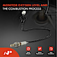 OS074C Downstream O2 Oxygen Sensor