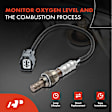OS076C Upstream Downstream O2 Oxygen Sensor