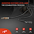 OS077C Upstream Downstream O2 Oxygen Sensor
