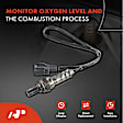 OS078 Upstream Downstream O2 Oxygen Sensor
