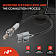 OS079C Upstream O2 Oxygen Sensor