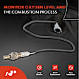 OS082C Downstream O2 Oxygen Sensor
