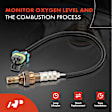 OS083 Upstream Downstream O2 Oxygen Sensor