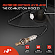 OS085C Upstream Downstream O2 Oxygen Sensor