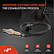 OS086C Upstream Downstream O2 Oxygen Sensor