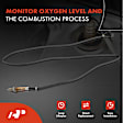 OS087MF 2x Upstream & Downstream O2 Oxygen Sensor