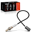 OS088C Downstream O2 Oxygen Sensor