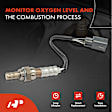 OS090 Upstream O2 Oxygen Sensor