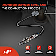 OS091C Upstream O2 Oxygen Sensor