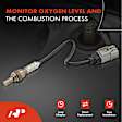 OS093C Downstream Center O2 Oxygen Sensor