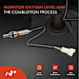 OS094 Upstream O2 Oxygen Sensor