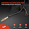 OS096C Upstream Downstream O2 Oxygen Sensor